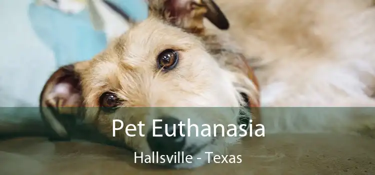 Pet Euthanasia Hallsville - Texas