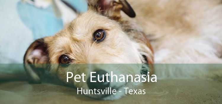 Pet Euthanasia Huntsville - Texas