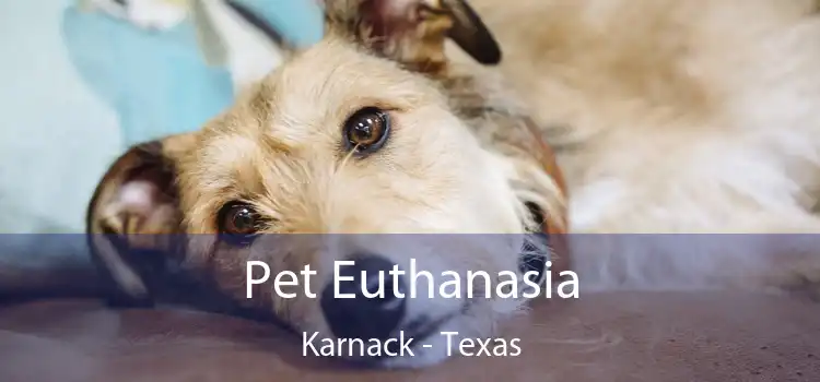 Pet Euthanasia Karnack - Texas