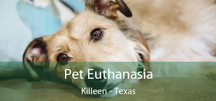 Pet Euthanasia Killeen - Texas