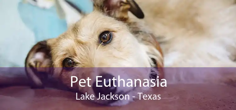 Pet Euthanasia Lake Jackson - Texas