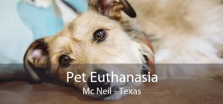 Pet Euthanasia Mc Neil - Texas
