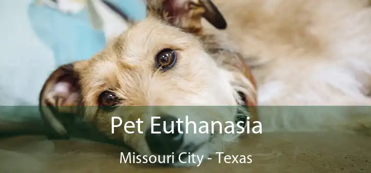 Pet Euthanasia Missouri City - Texas