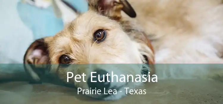 Pet Euthanasia Prairie Lea - Texas