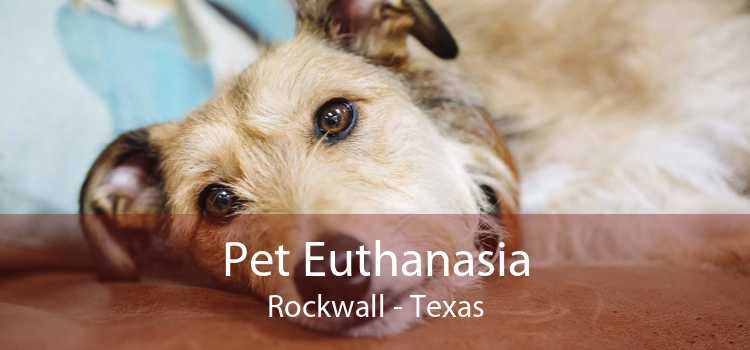 Pet Euthanasia Rockwall - Texas
