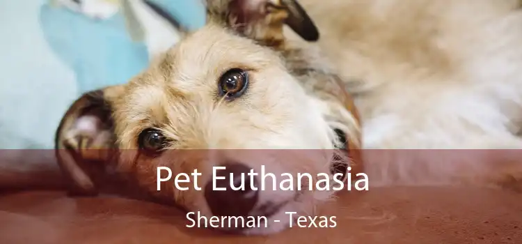 Pet Euthanasia Sherman - Texas