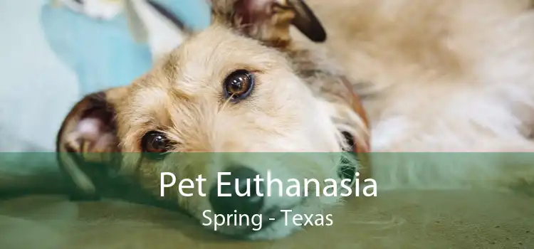 Pet Euthanasia Spring - Texas