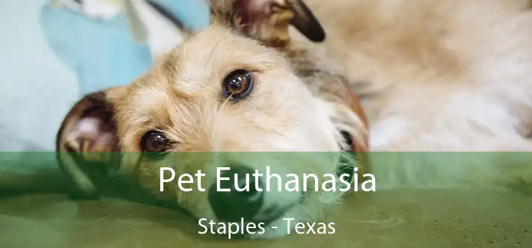 Pet Euthanasia Staples - Texas