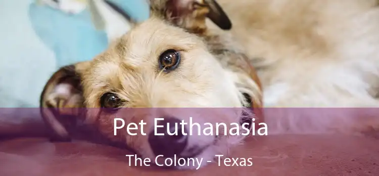 Pet Euthanasia The Colony - Texas