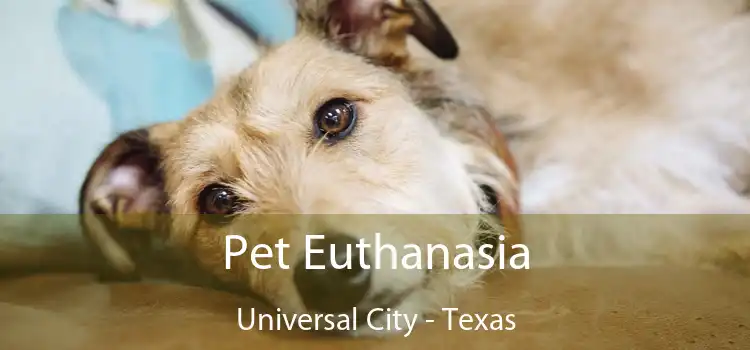 Pet Euthanasia Universal City - Texas