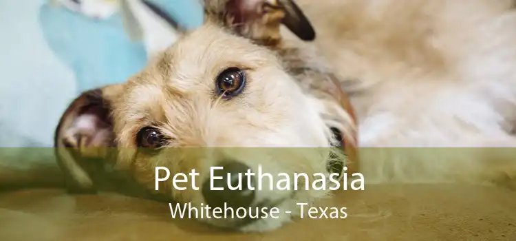 Pet Euthanasia Whitehouse - Texas
