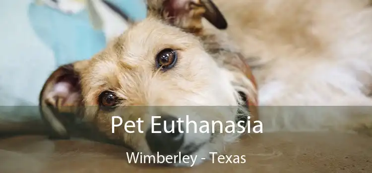 Pet Euthanasia Wimberley - Texas