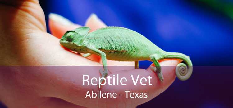 Reptile Vet Abilene - Texas