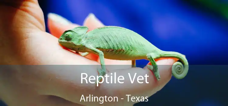 Reptile Vet Arlington - Texas