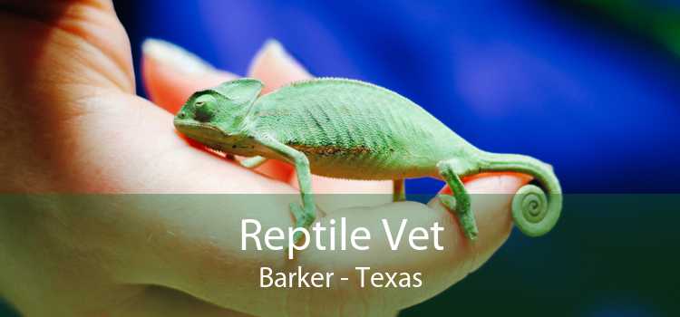 Reptile Vet Barker - Texas