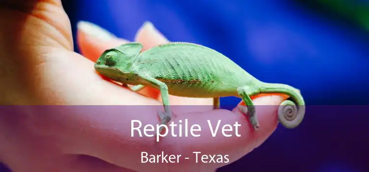 Reptile Vet Barker - Texas