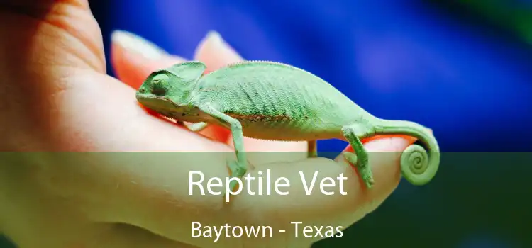 Reptile Vet Baytown - Texas