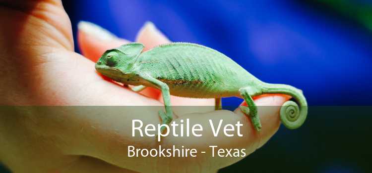Reptile Vet Brookshire - Texas