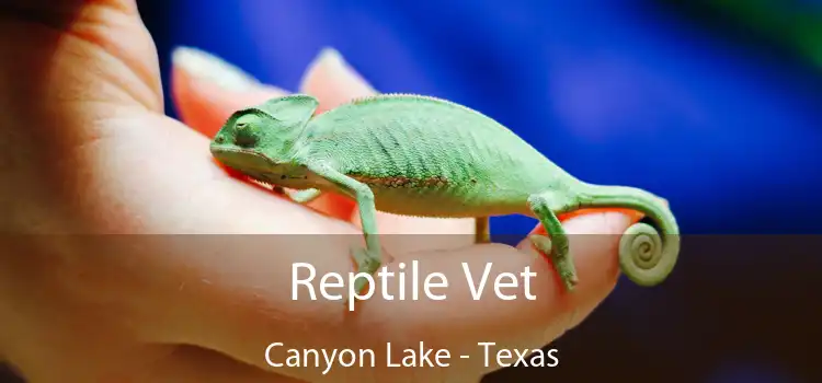 Reptile Vet Canyon Lake - Texas