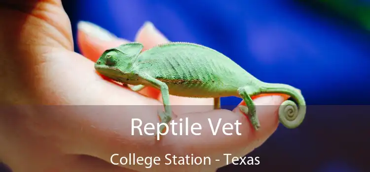 Reptile Vet College Station - Texas