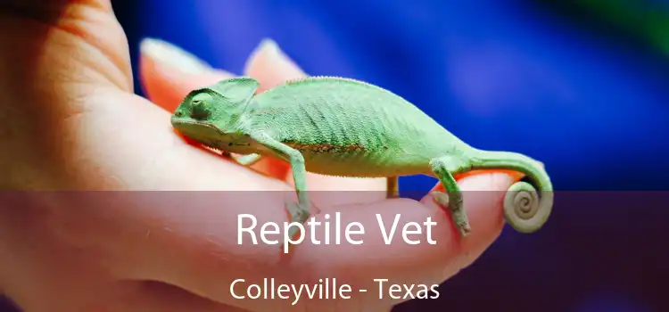 Reptile Vet Colleyville - Texas