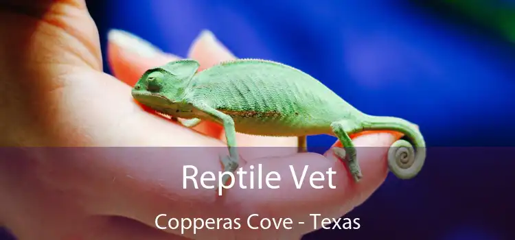 Reptile Vet Copperas Cove - Texas