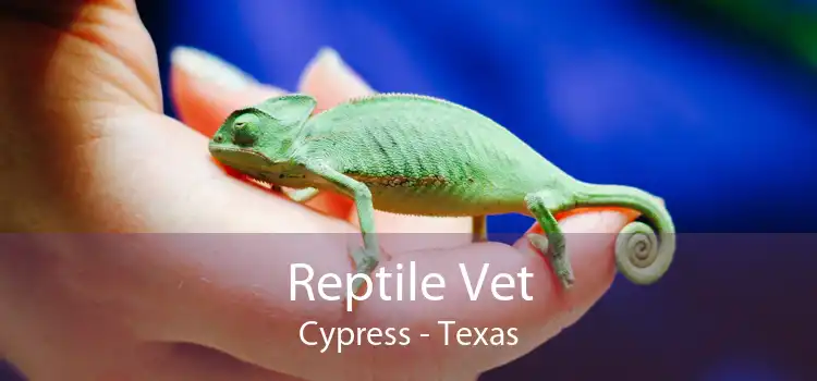 Reptile Vet Cypress - Texas