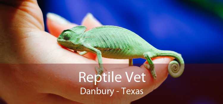Reptile Vet Danbury - Texas