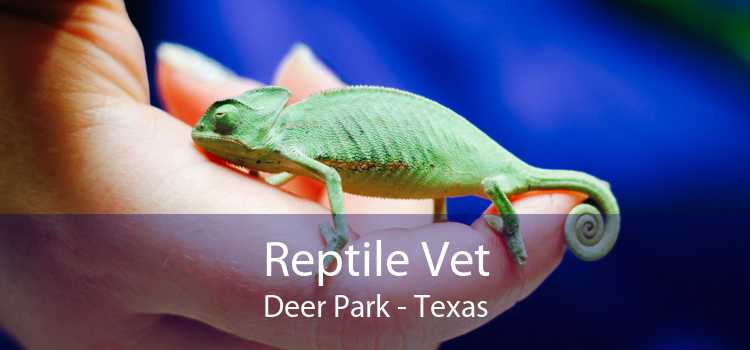 Reptile Vet Deer Park - Texas