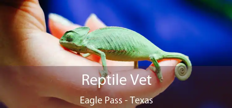 Reptile Vet Eagle Pass - Texas