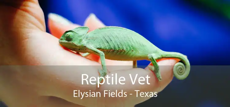 Reptile Vet Elysian Fields - Texas