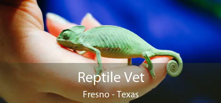 Reptile Vet Fresno - Texas