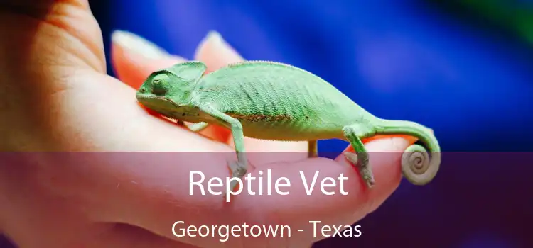 Reptile Vet Georgetown - Texas