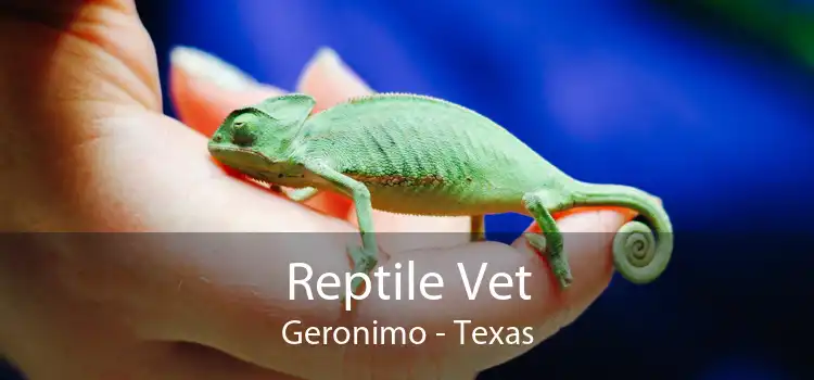 Reptile Vet Geronimo - Texas
