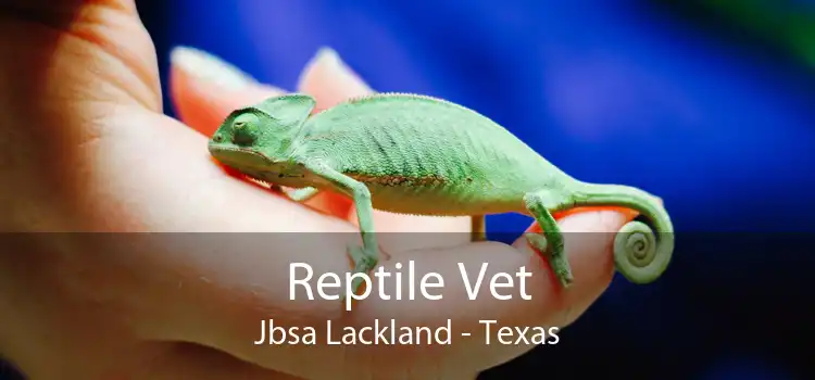 Reptile Vet Jbsa Lackland - Texas