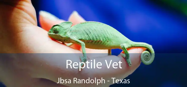 Reptile Vet Jbsa Randolph - Texas