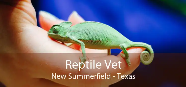 Reptile Vet New Summerfield - Texas