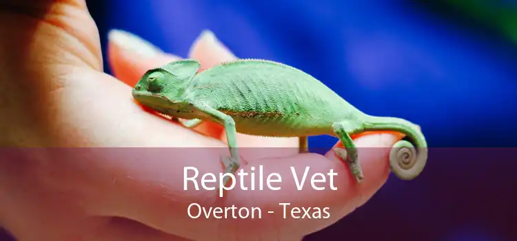 Reptile Vet Overton - Texas