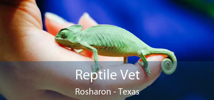 Reptile Vet Rosharon - Texas