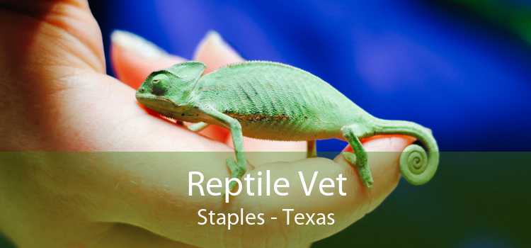 Reptile Vet Staples - Texas