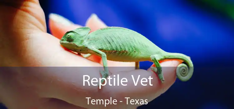 Reptile Vet Temple - Texas