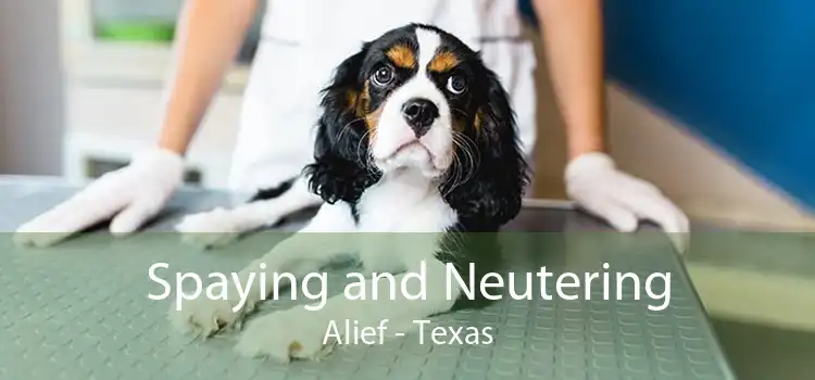 Spaying and Neutering Alief - Texas