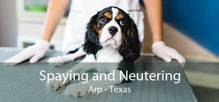 Spaying and Neutering Arp - Texas