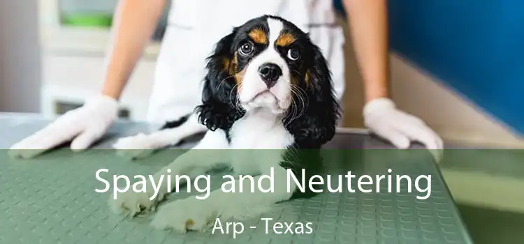 Spaying and Neutering Arp - Texas