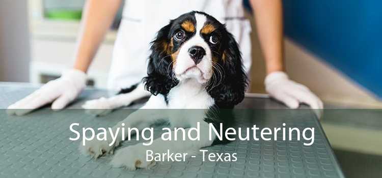 Spaying and Neutering Barker - Texas
