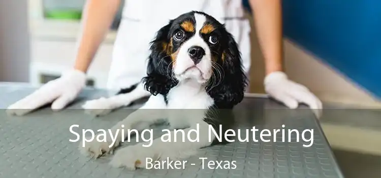 Spaying and Neutering Barker - Texas