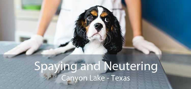 Spaying and Neutering Canyon Lake - Texas