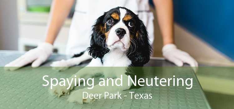 Spaying and Neutering Deer Park - Texas