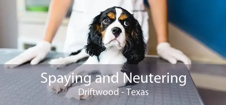 Spaying and Neutering Driftwood - Texas