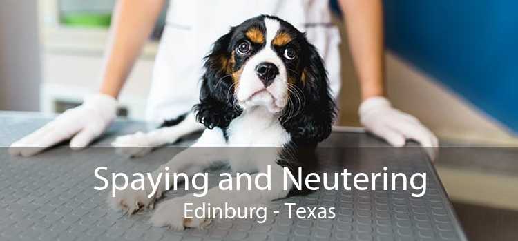 Spaying and Neutering Edinburg - Texas